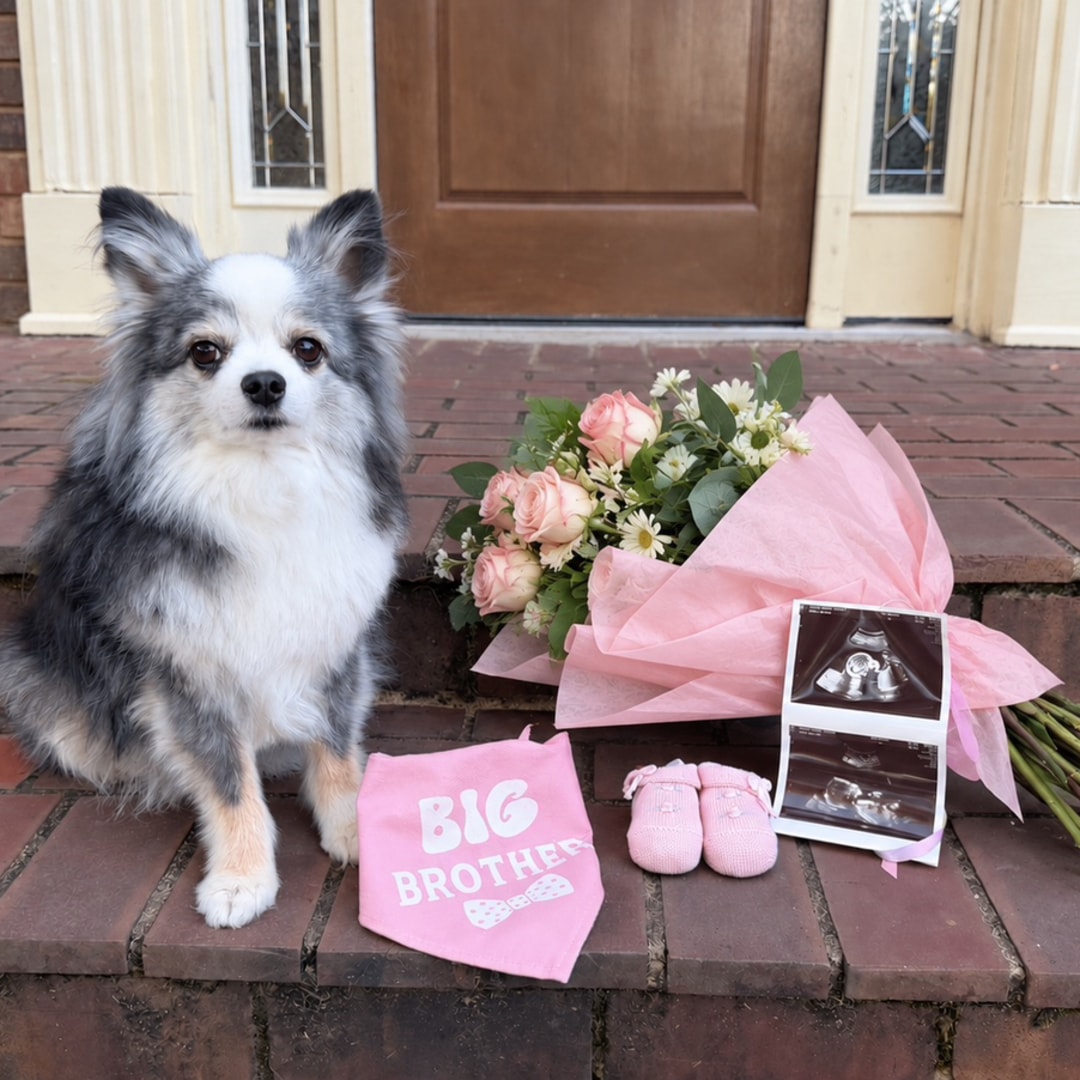 Photo shared by Canden for their Babylist baby registry.