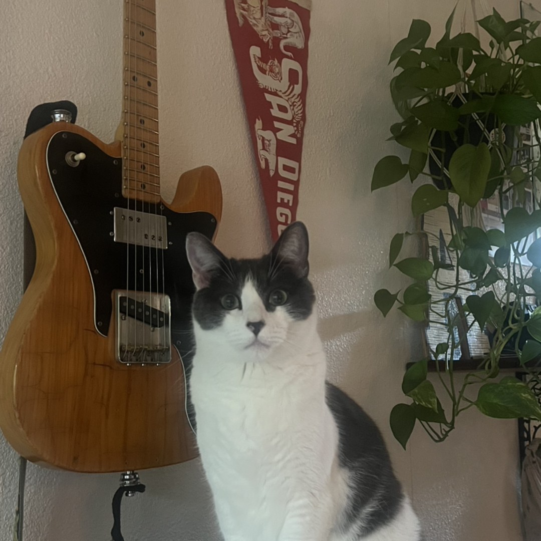 Photo shared by Alise for their Babylist baby registry.