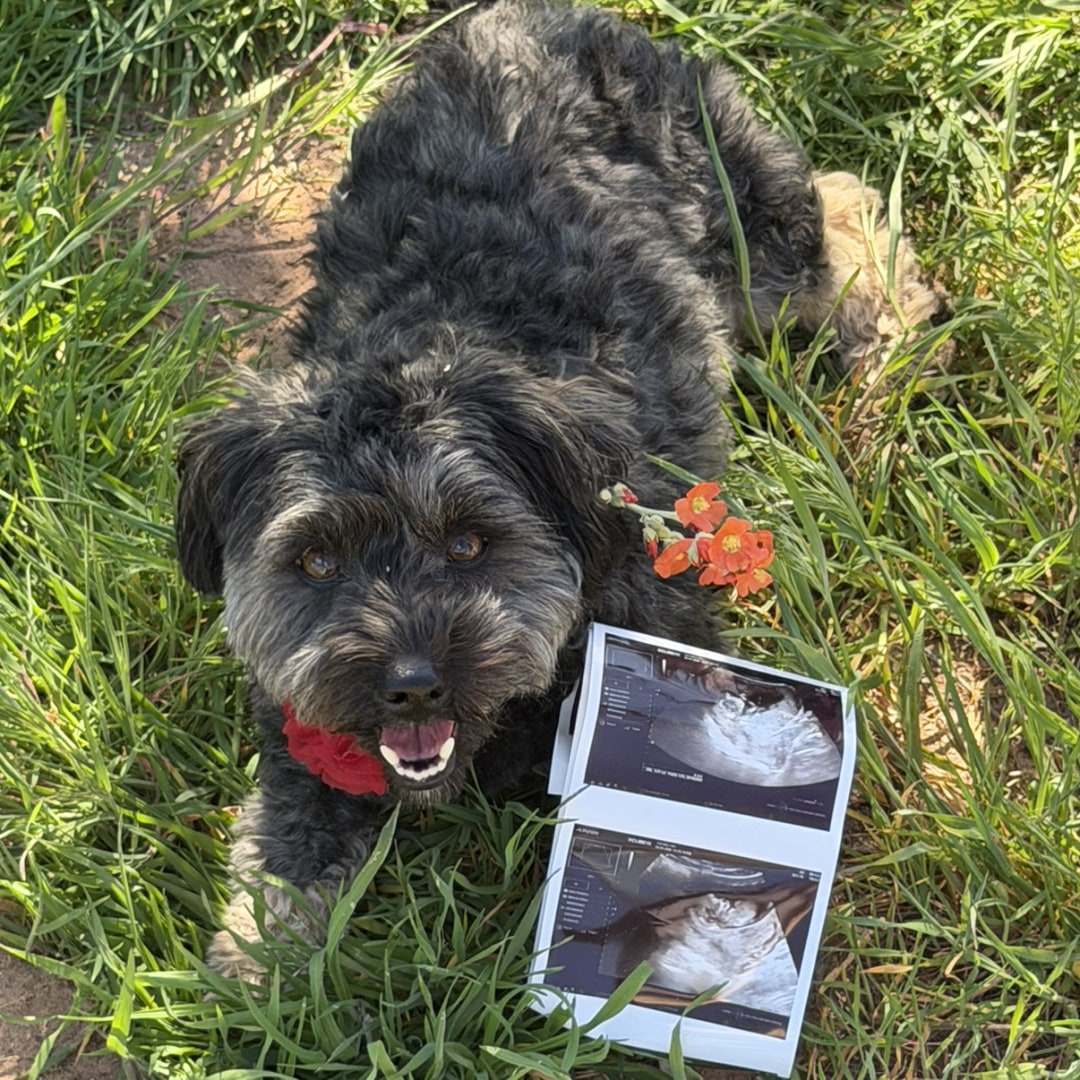 Photo shared by Faith for their Babylist baby registry.