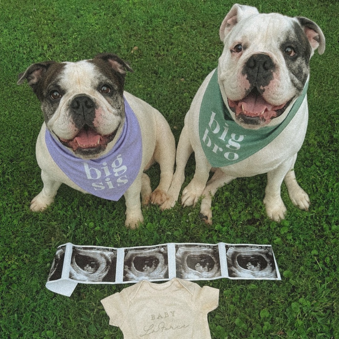 Photo shared by Amber for their Babylist baby registry.