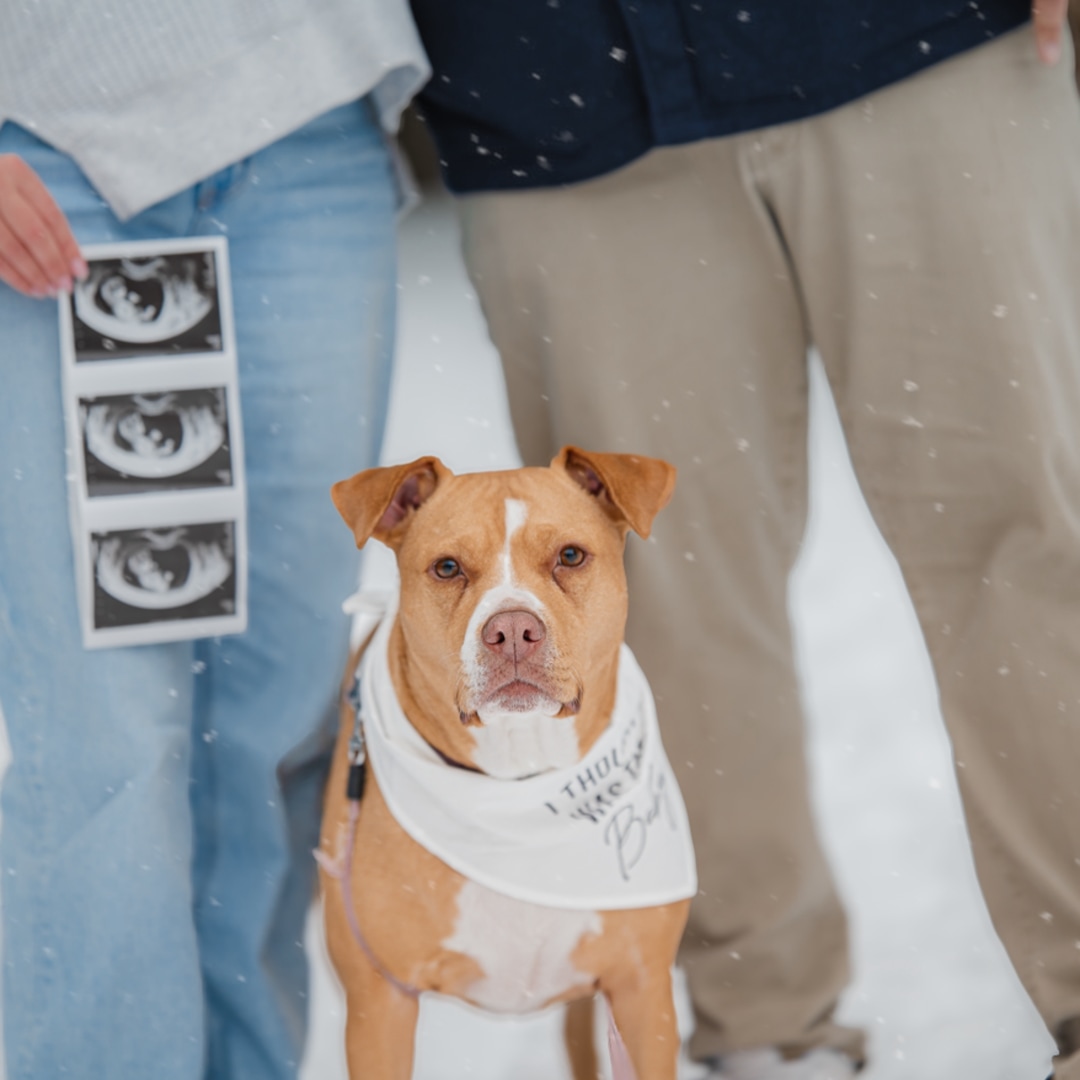 Photo shared by Jade for their Babylist baby registry.