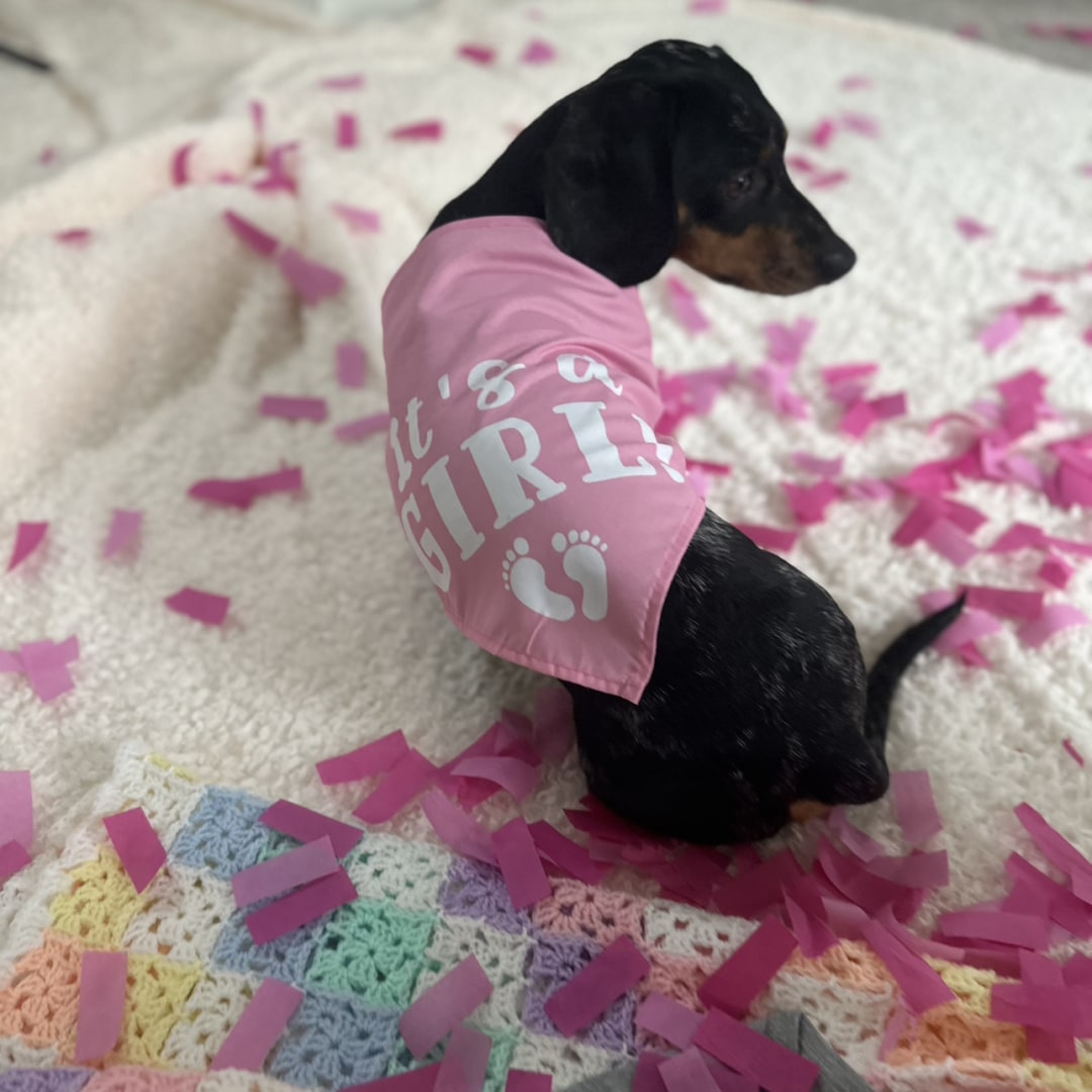 Photo shared by Alyssa for their Babylist baby registry.