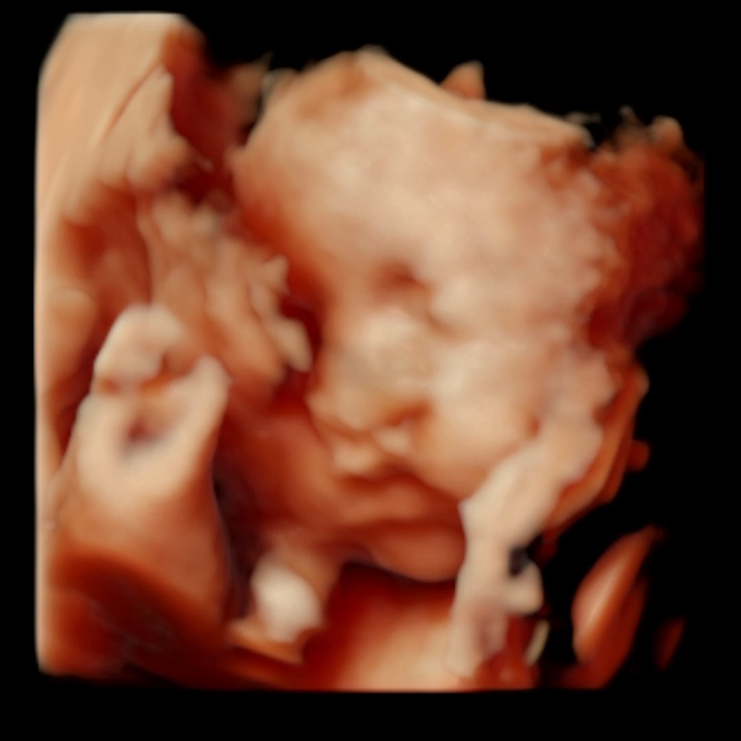 Photo shared by Luz for their Babylist baby registry.