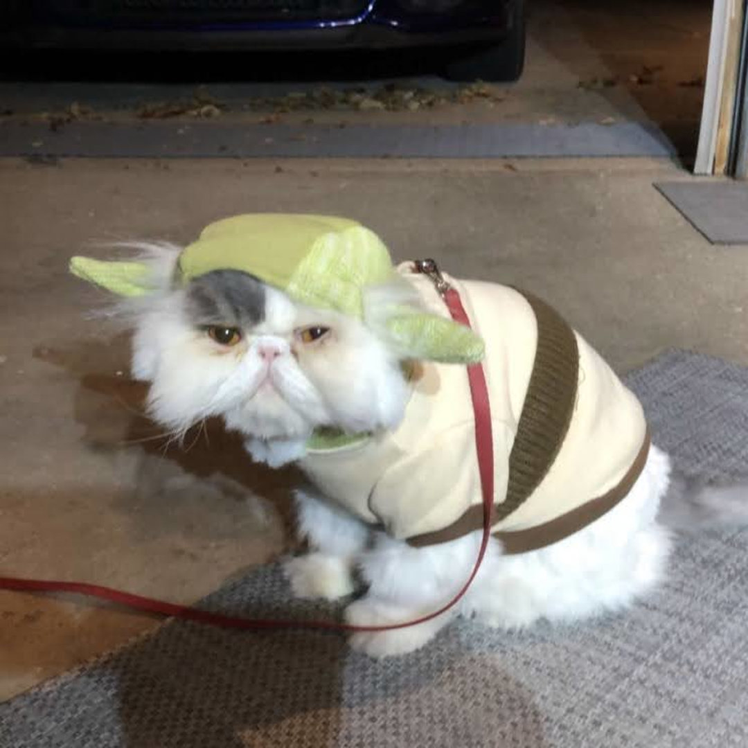 Photo shared by Rachel for their Babylist baby registry.