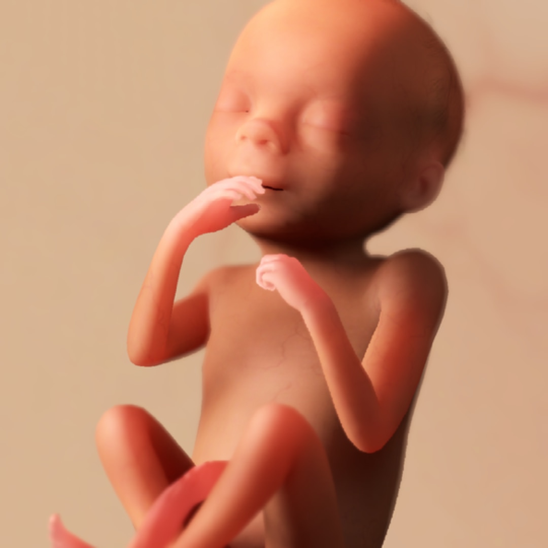 Photo shared by Claudia for their Babylist baby registry.