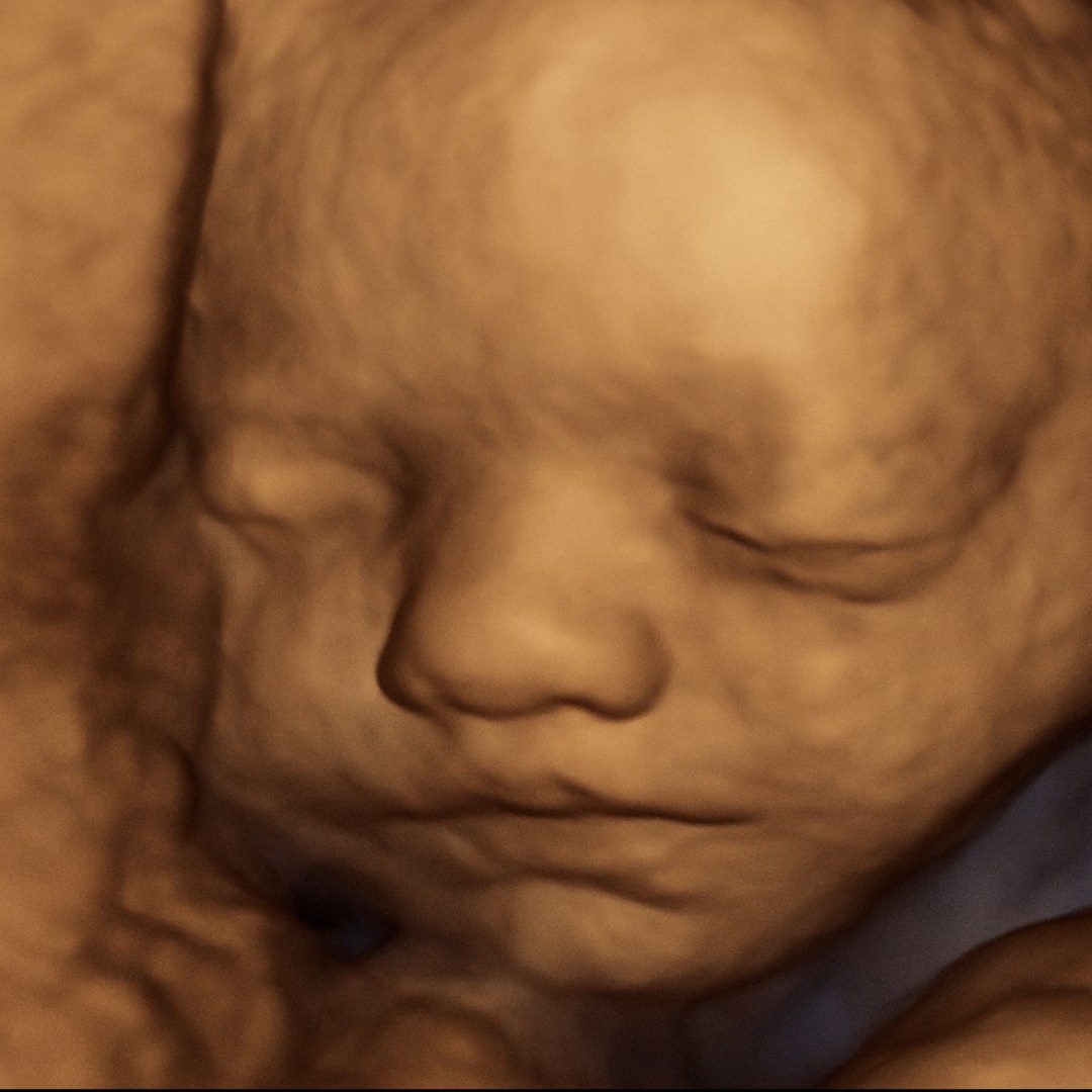 Photo shared by Bailey for their Babylist baby registry.