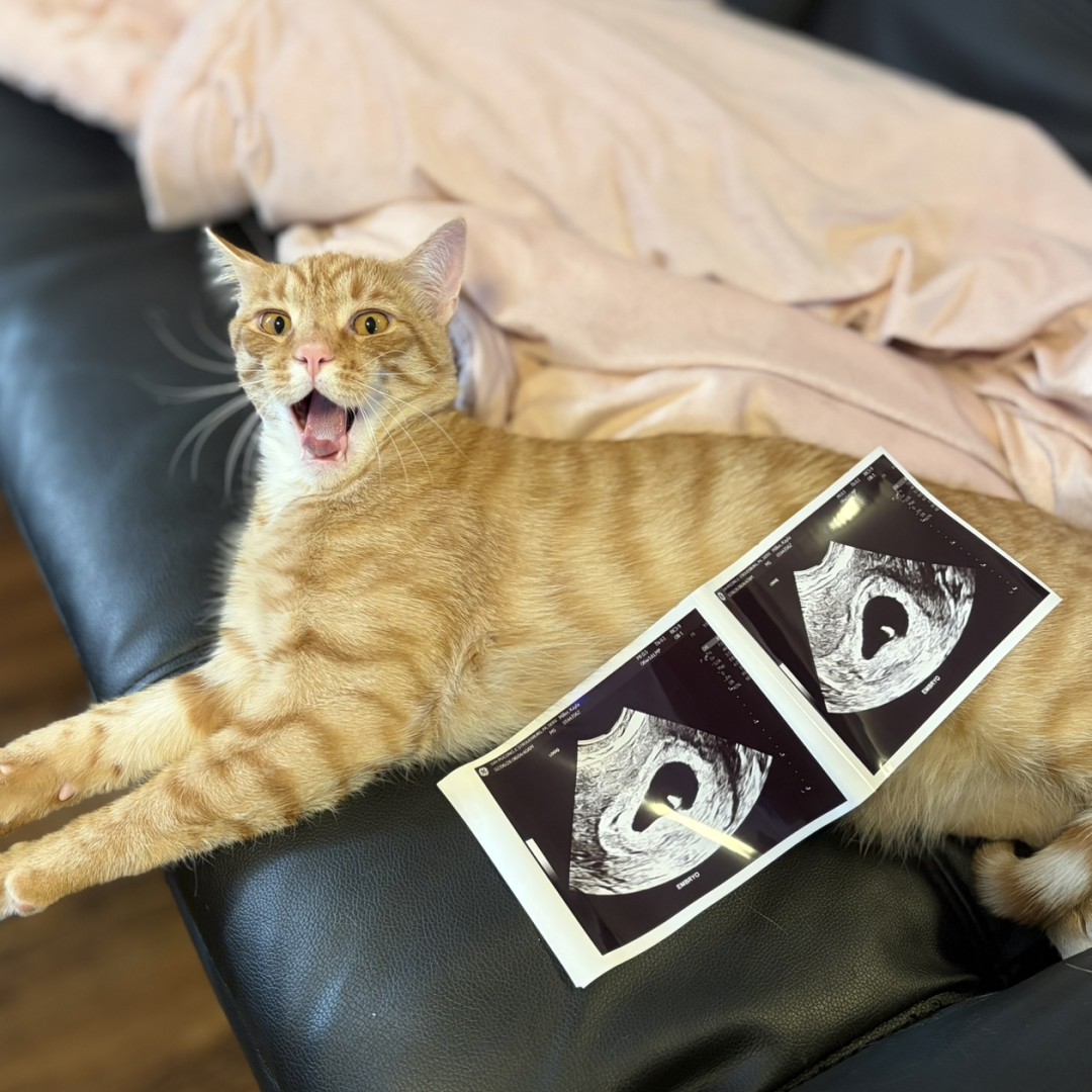 Photo shared by Kayla for their Babylist baby registry.