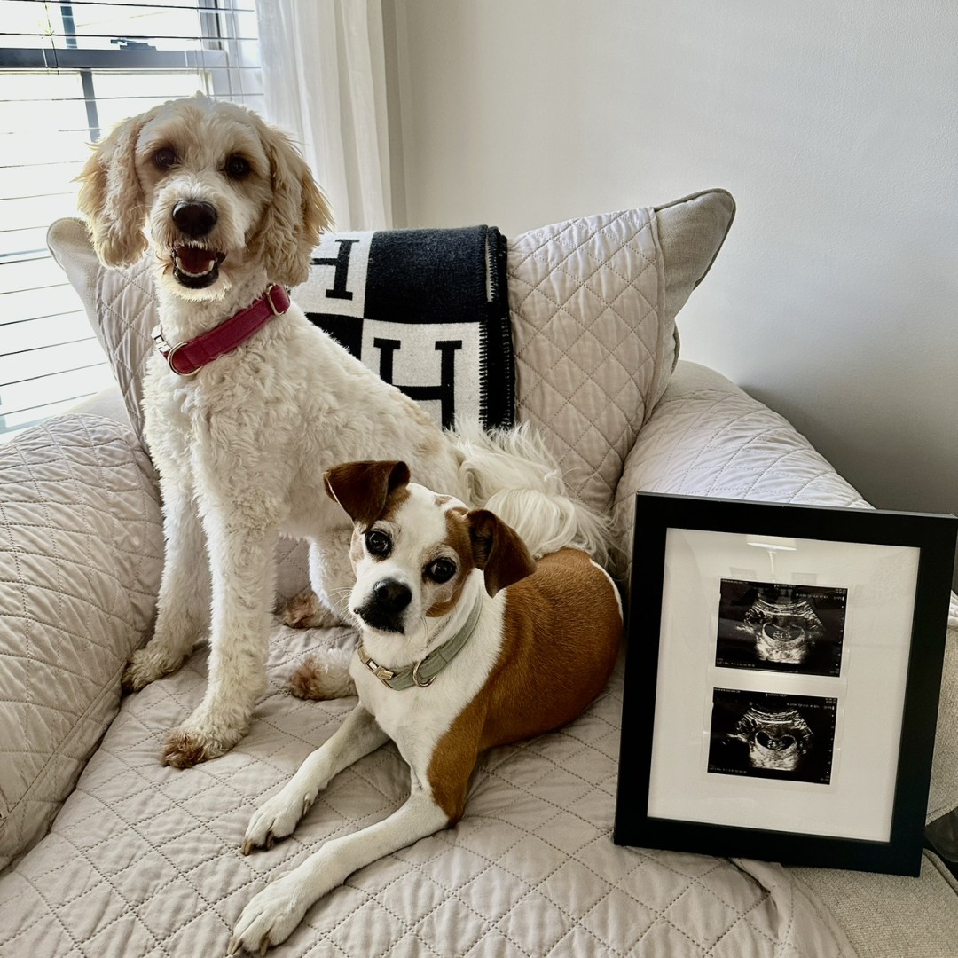 Photo shared by Parker for their Babylist baby registry.