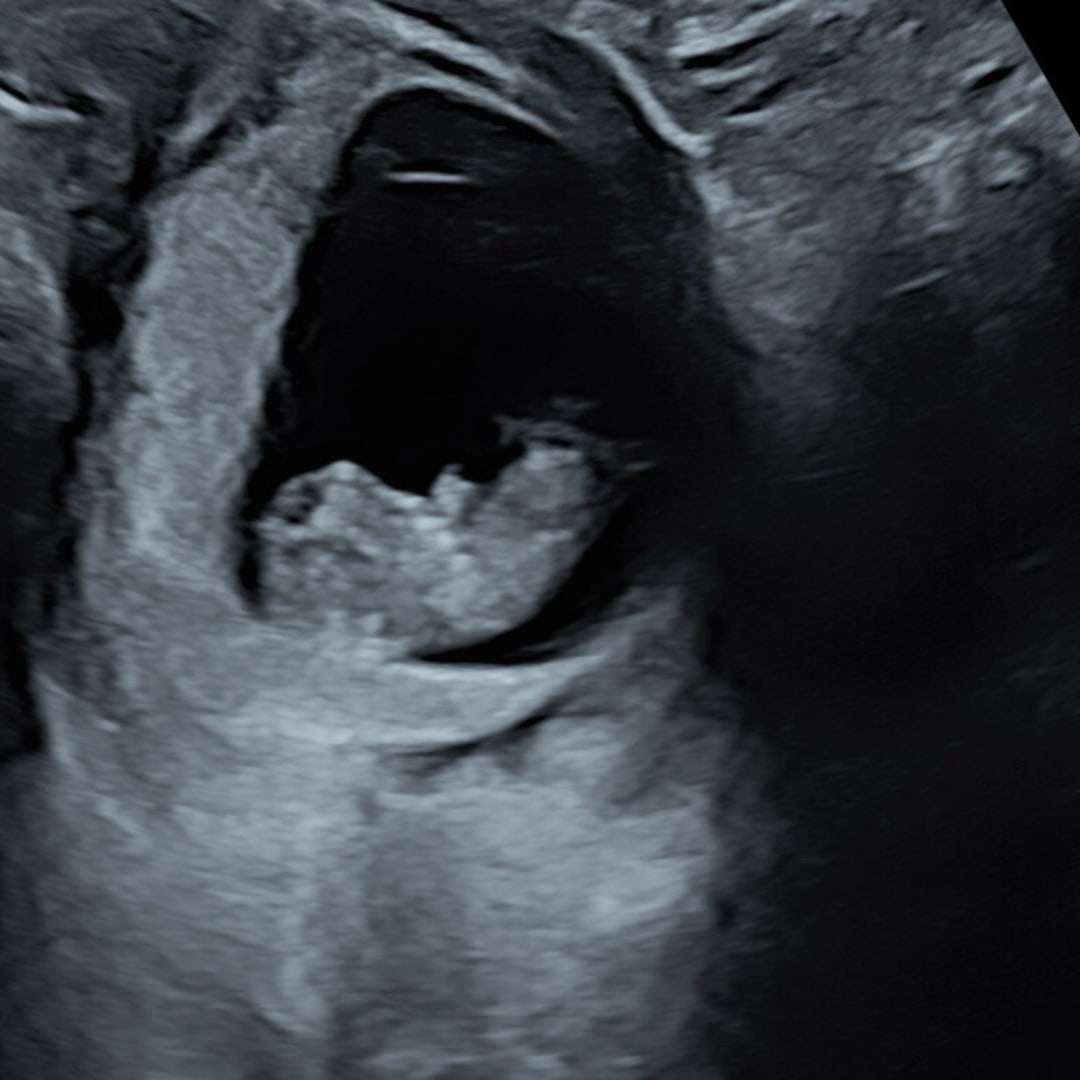 Photo shared by Sky for their Babylist baby registry.