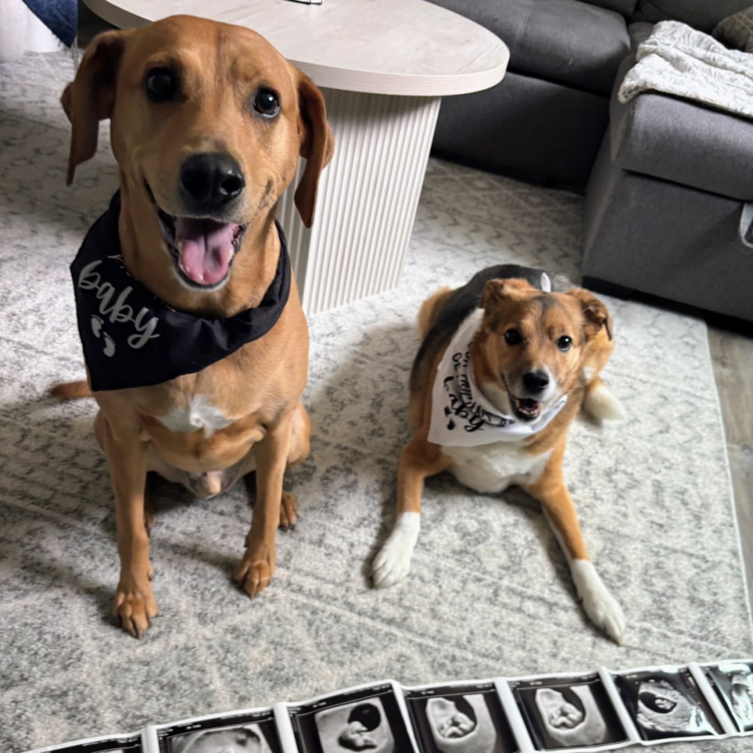 Photo shared by Emily & Zack for their Babylist baby registry.