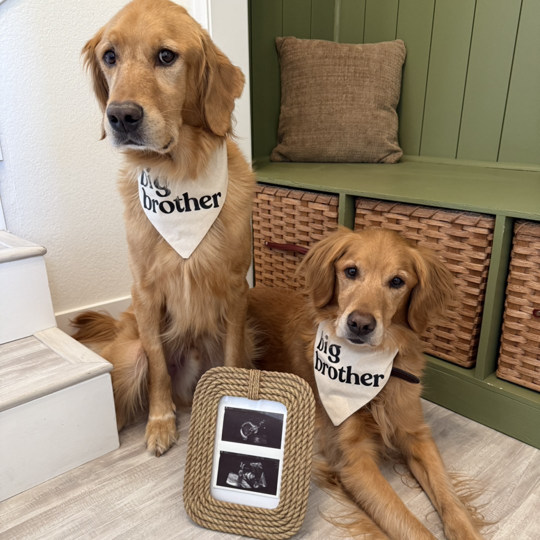 Photo shared by Sarah for their Babylist baby registry.