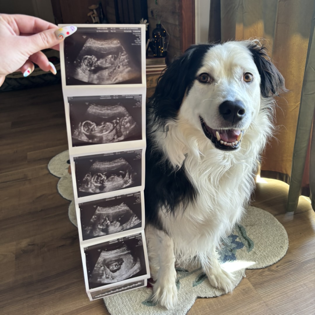 Photo shared by Ashley for their Babylist baby registry.