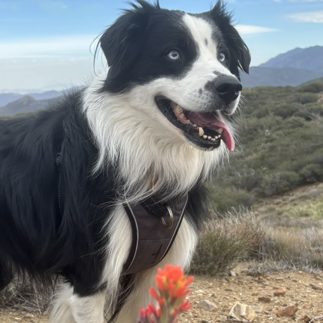 Photo shared by Hannah for their Babylist baby registry.