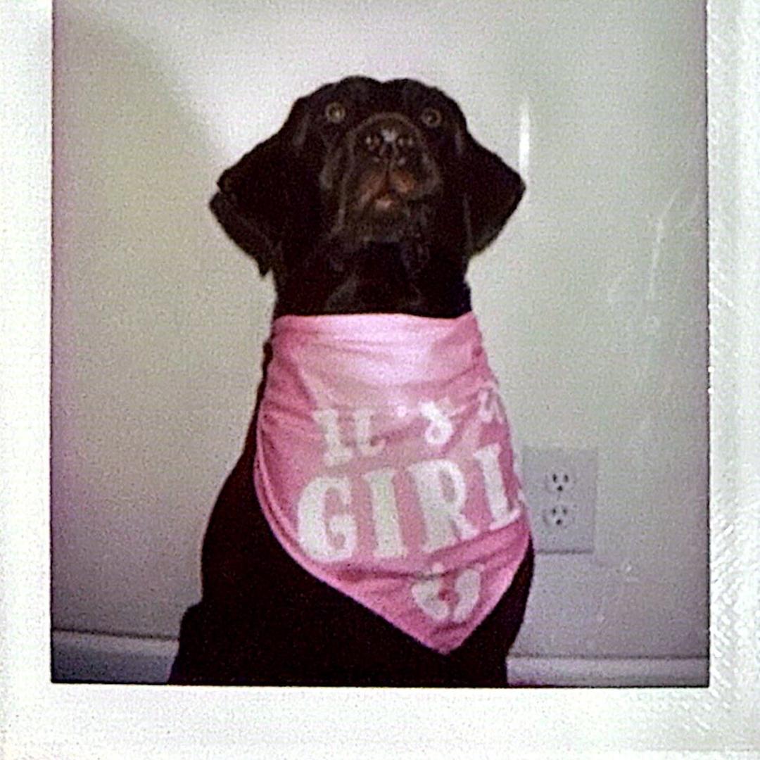 Photo shared by Arielle for their Babylist baby registry.