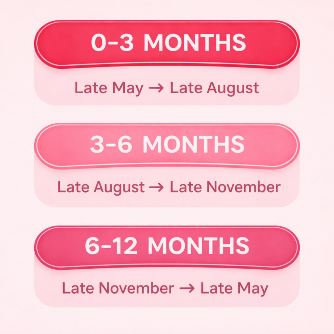 Photo shared by Deann for their Babylist baby registry.