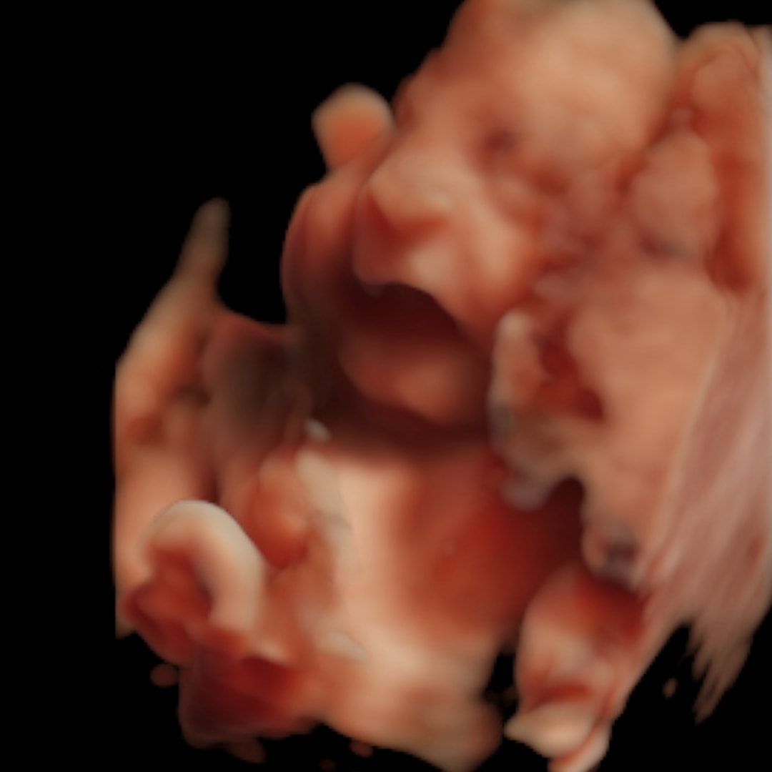 Photo shared by Jamie for their Babylist baby registry.