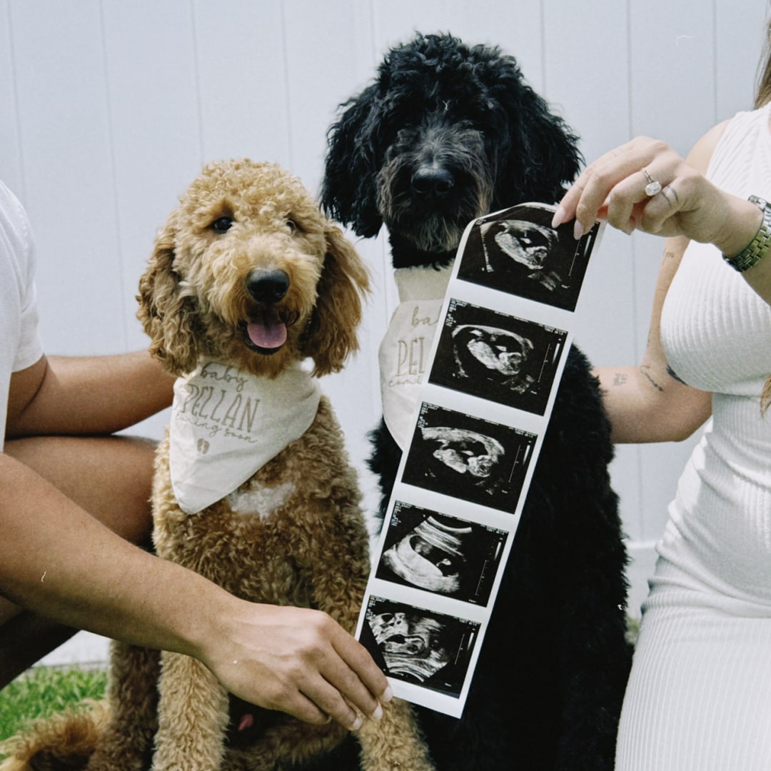 Photo shared by Hailey for their Babylist baby registry.