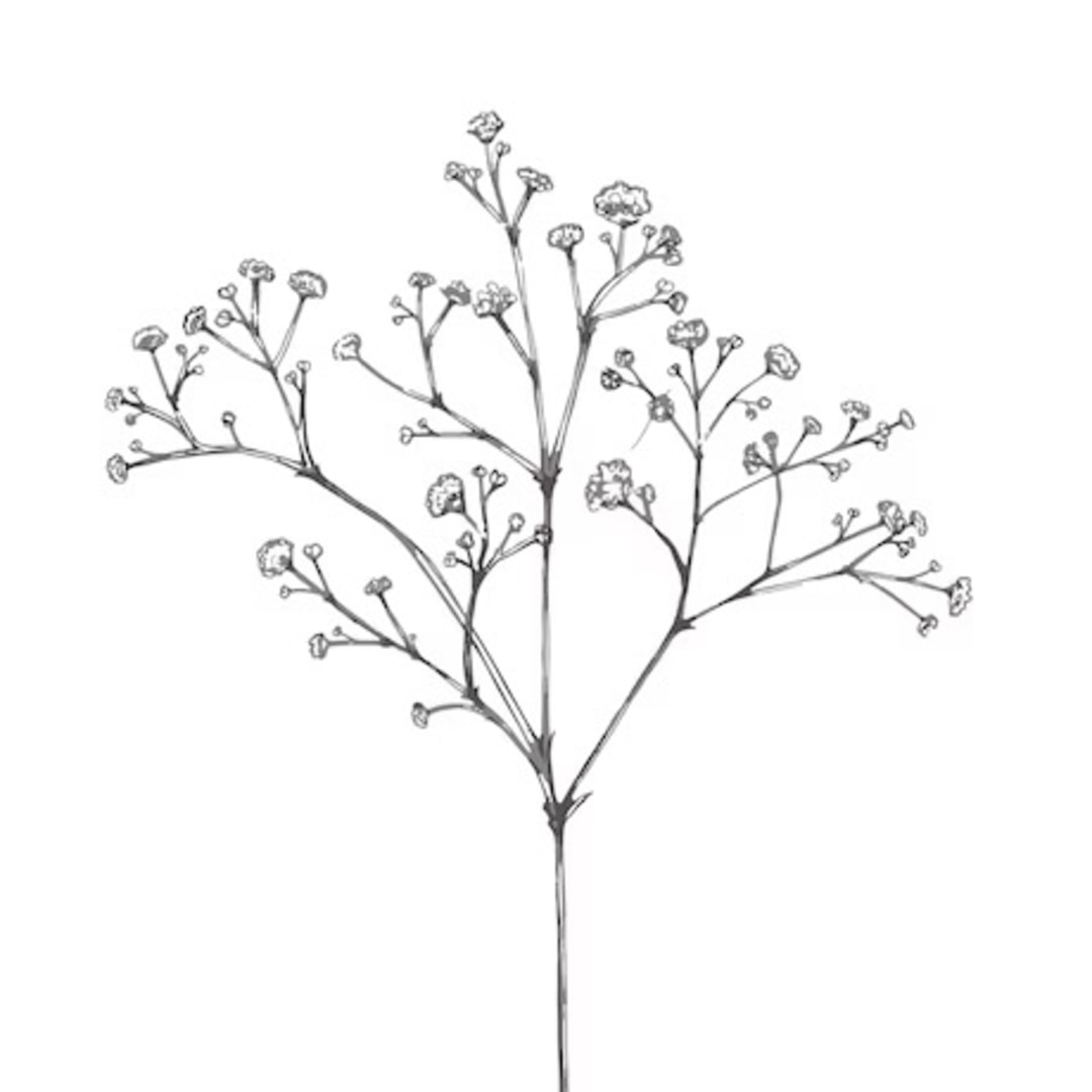 Photo shared by Marina for their Babylist baby registry.