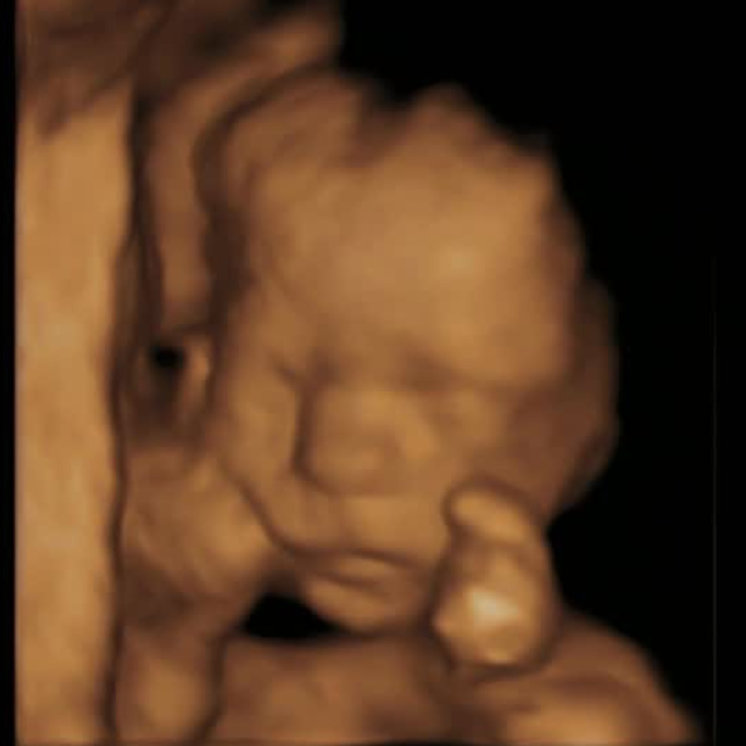 Photo shared by Anna for their Babylist baby registry.