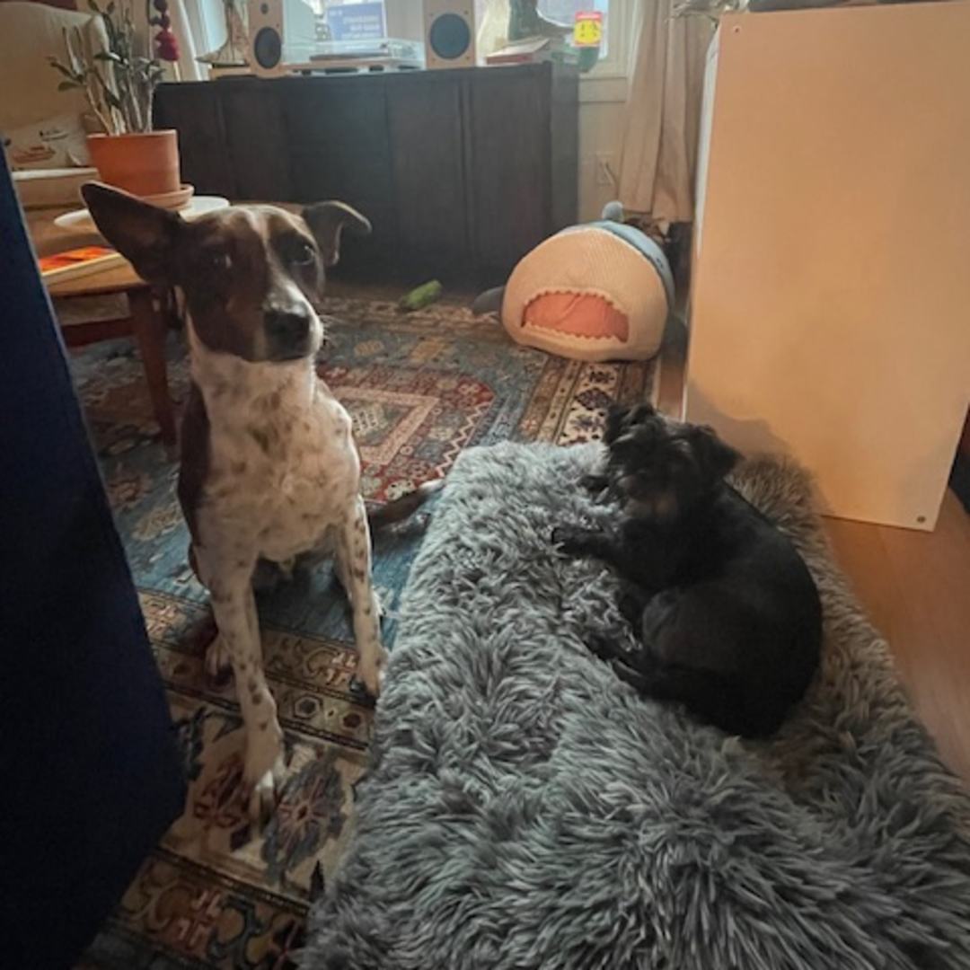 Photo shared by Melissa for their Babylist baby registry.