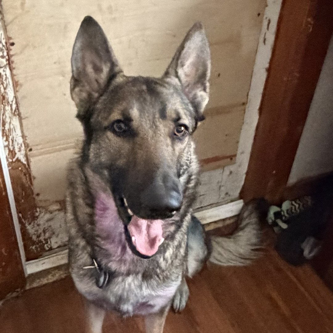 Photo shared by Jacob for their Babylist baby registry.