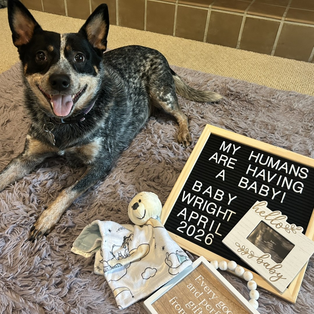 Photo shared by Elizabeth for their Babylist baby registry.