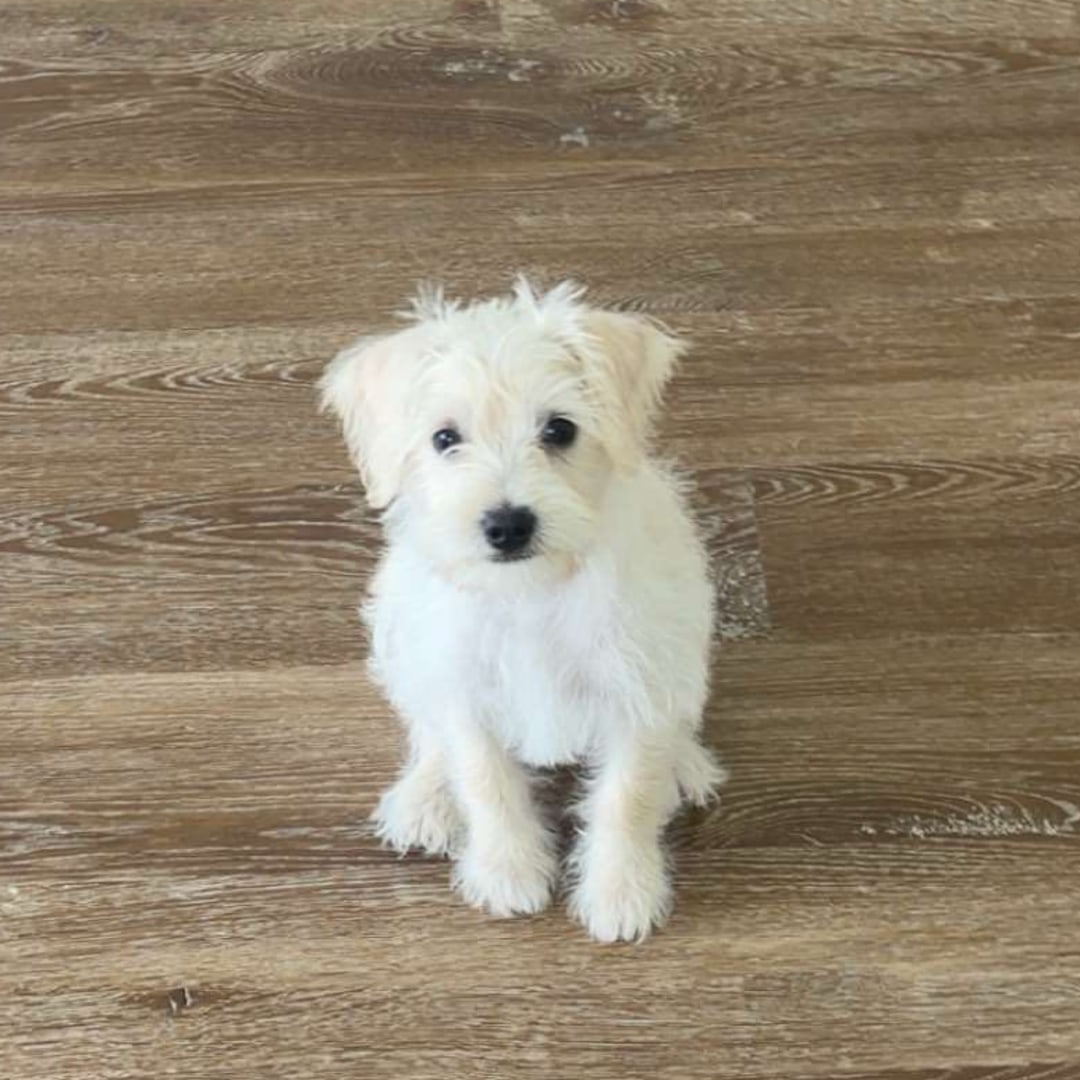 Photo shared by Grace for their Babylist baby registry.