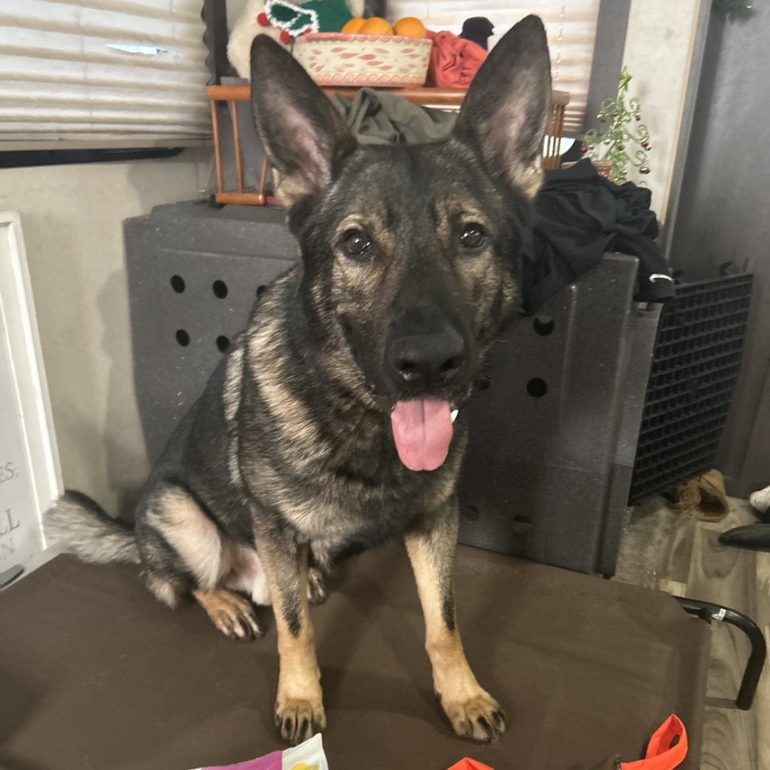 Photo shared by Hannah for their Babylist baby registry.