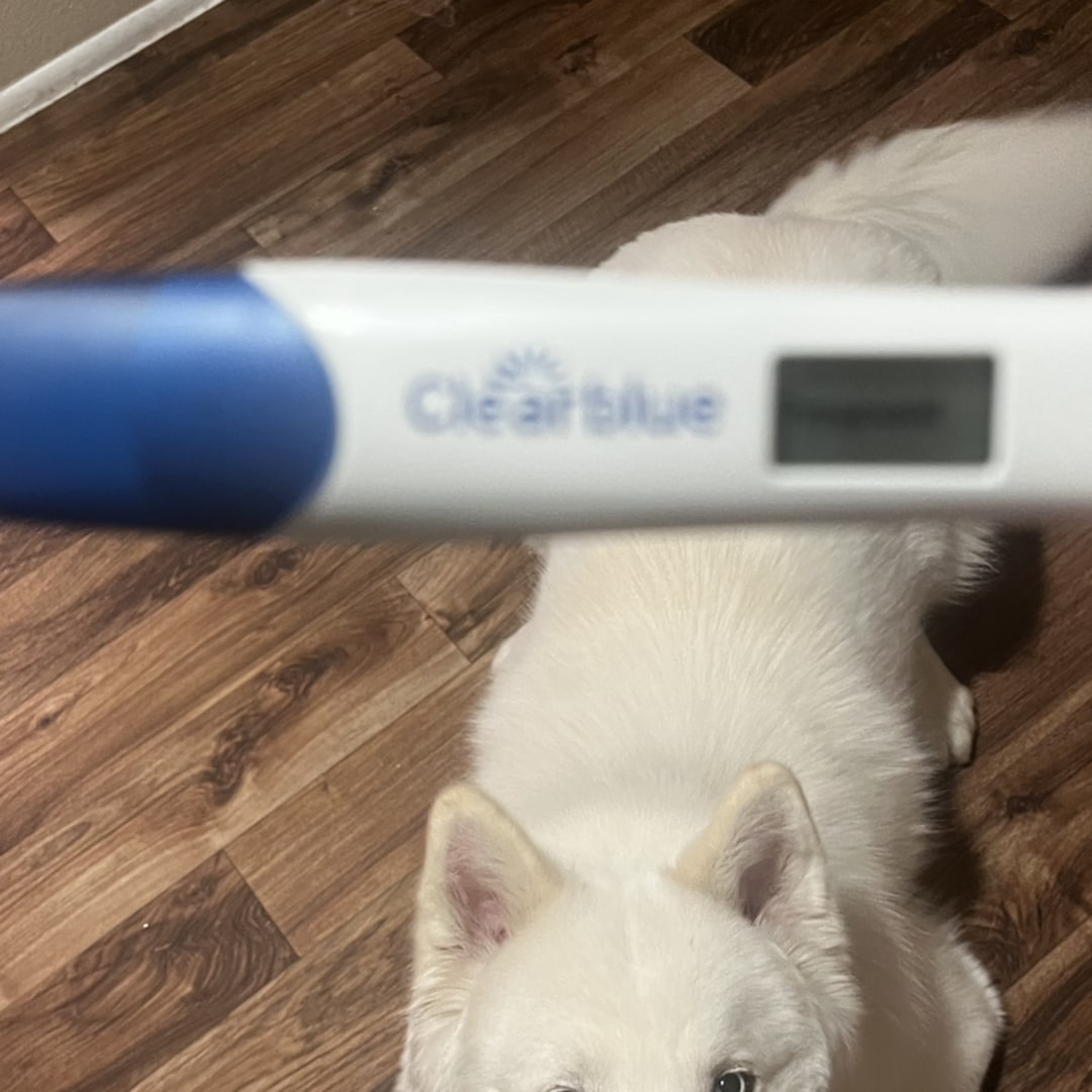 Photo shared by Andie for their Babylist baby registry.