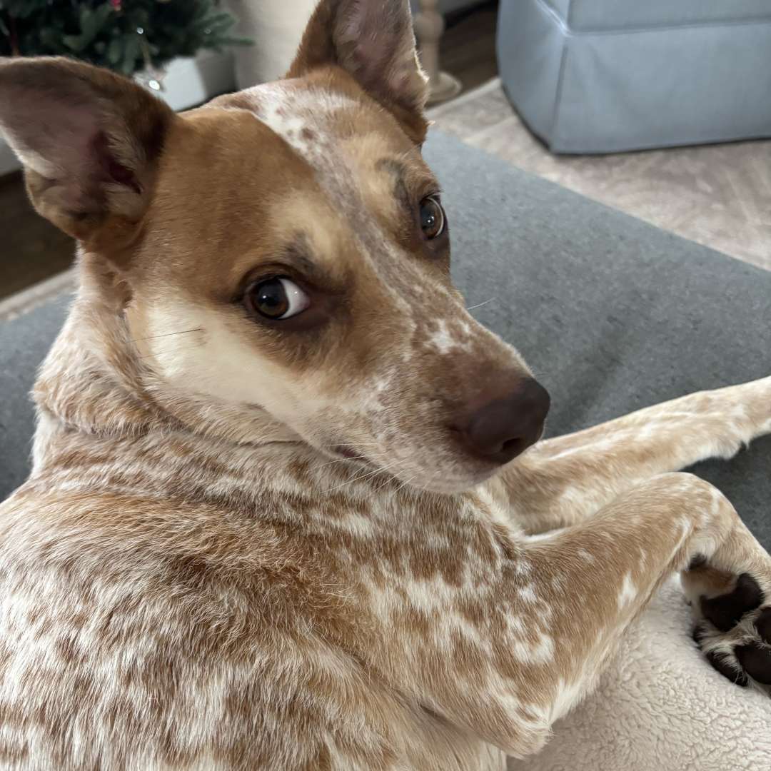 Photo shared by Leigh for their Babylist baby registry.