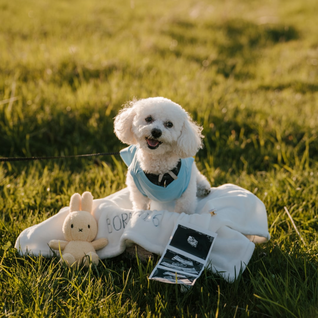 Photo shared by Christine for their Babylist baby registry.