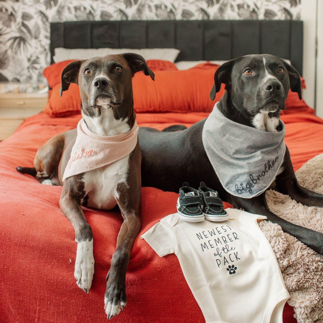 Photo shared by Dannah for their Babylist baby registry.