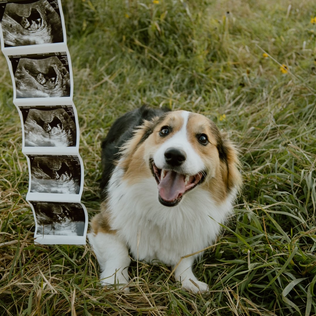 Photo shared by Cassidy for their Babylist baby registry.