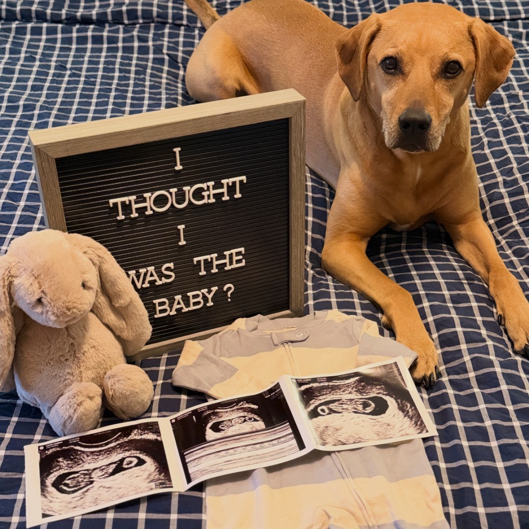 Photo shared by Hannah for their Babylist baby registry.