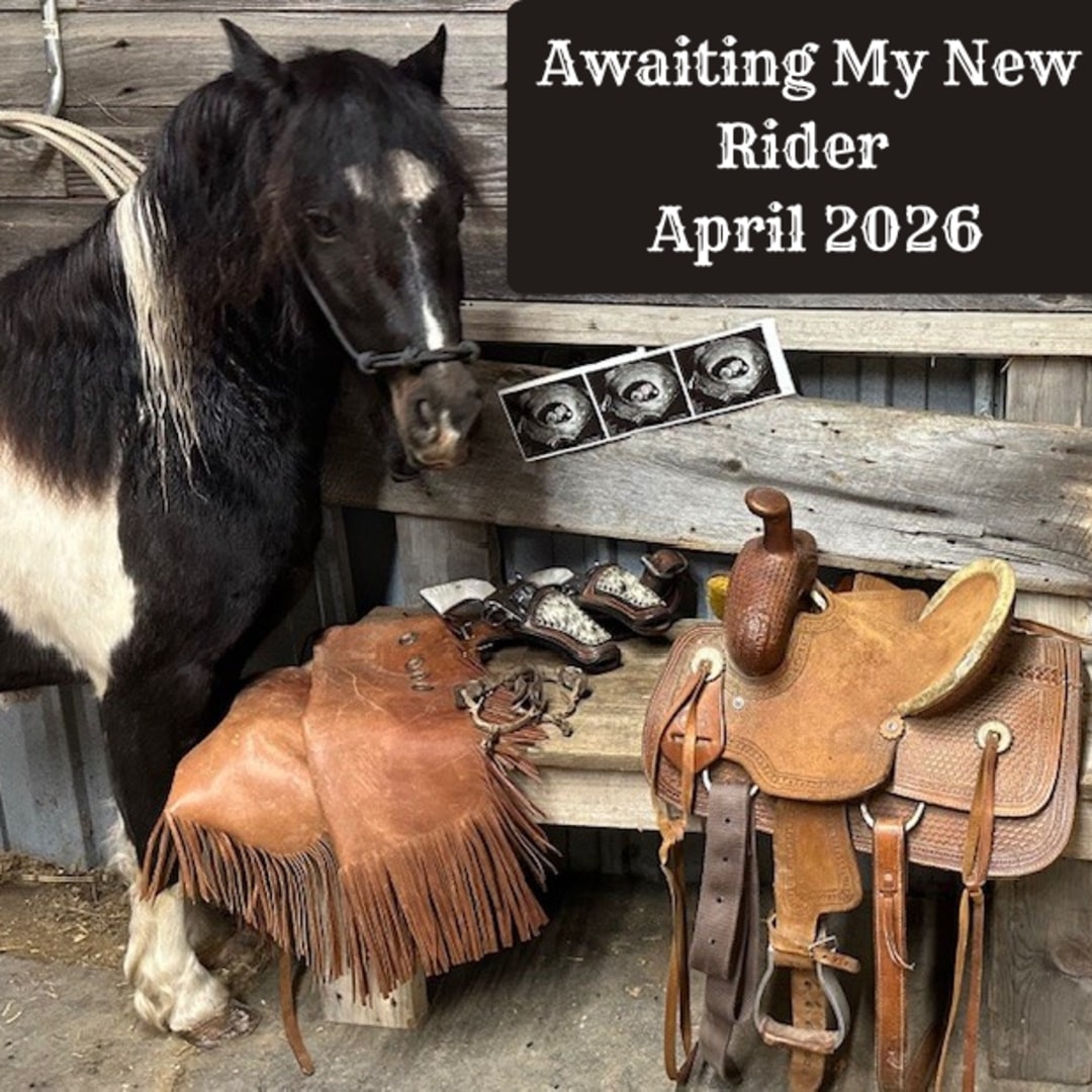 Photo shared by Melynda for their Babylist baby registry.