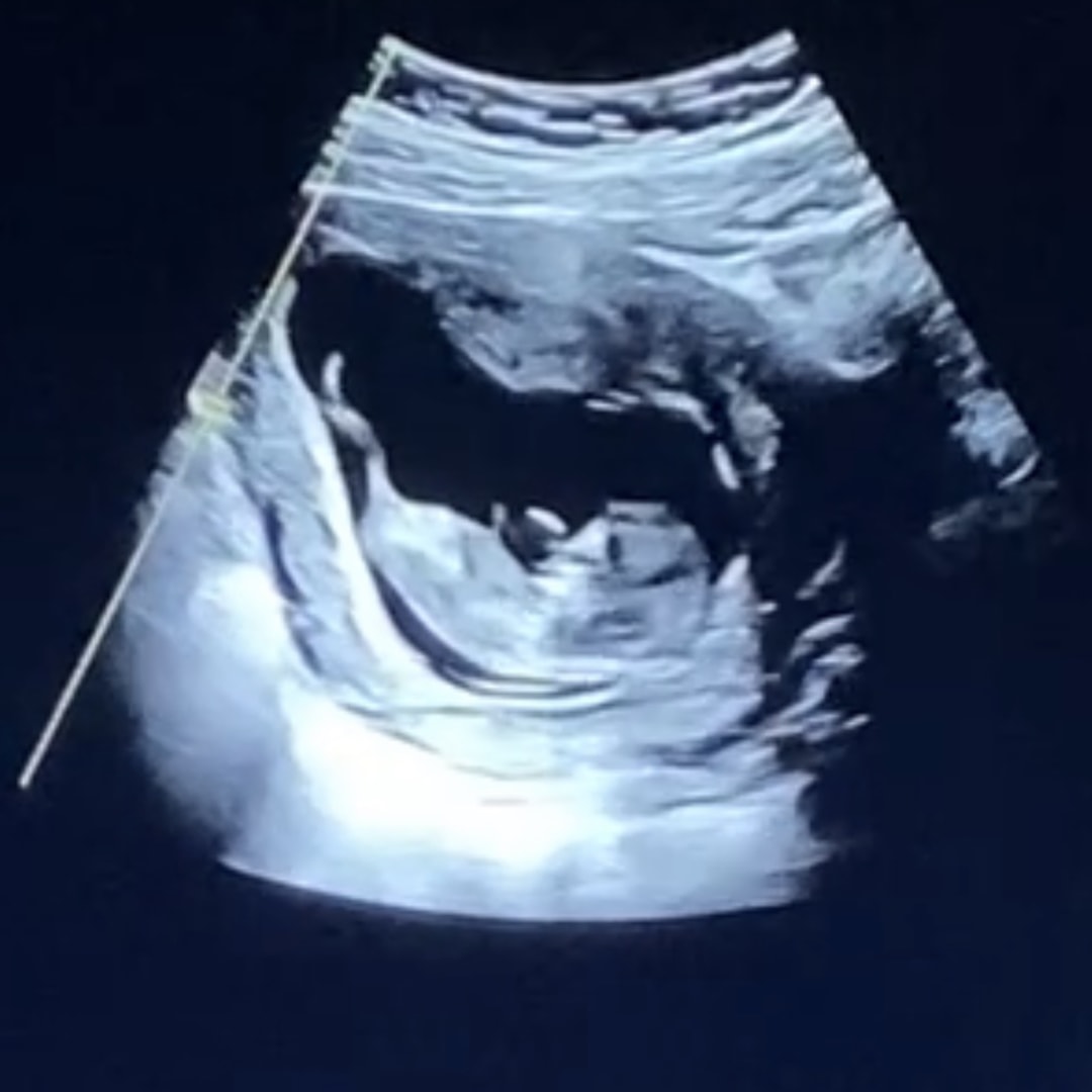 Photo shared by Naty for their Babylist baby registry.