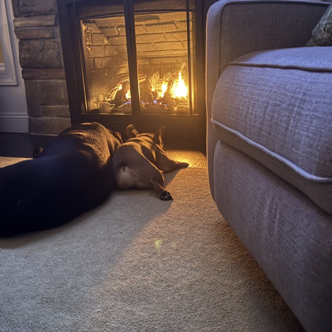 Photo shared by Lauren for their Babylist baby registry.