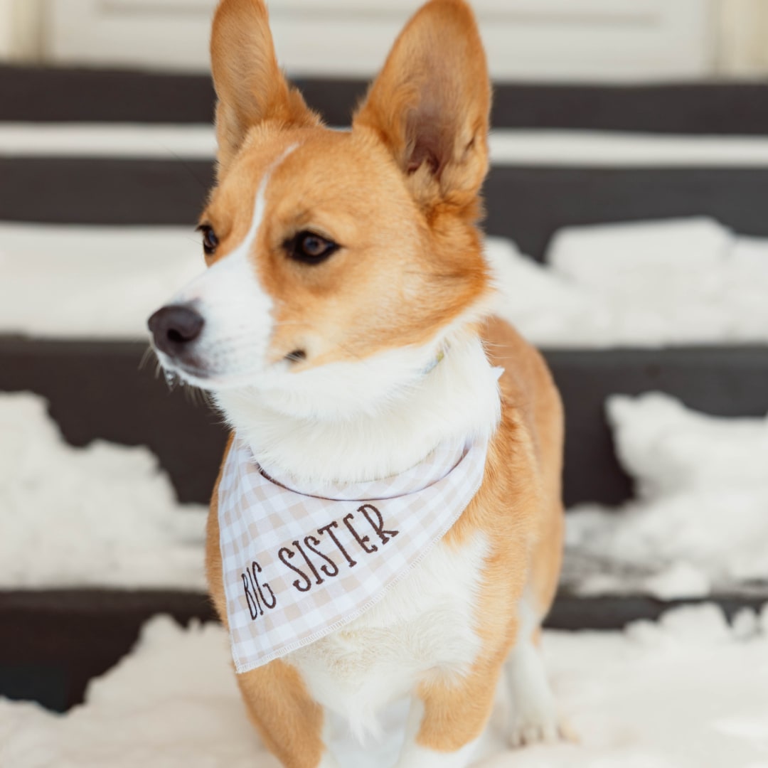 Photo shared by Macy for their Babylist baby registry.