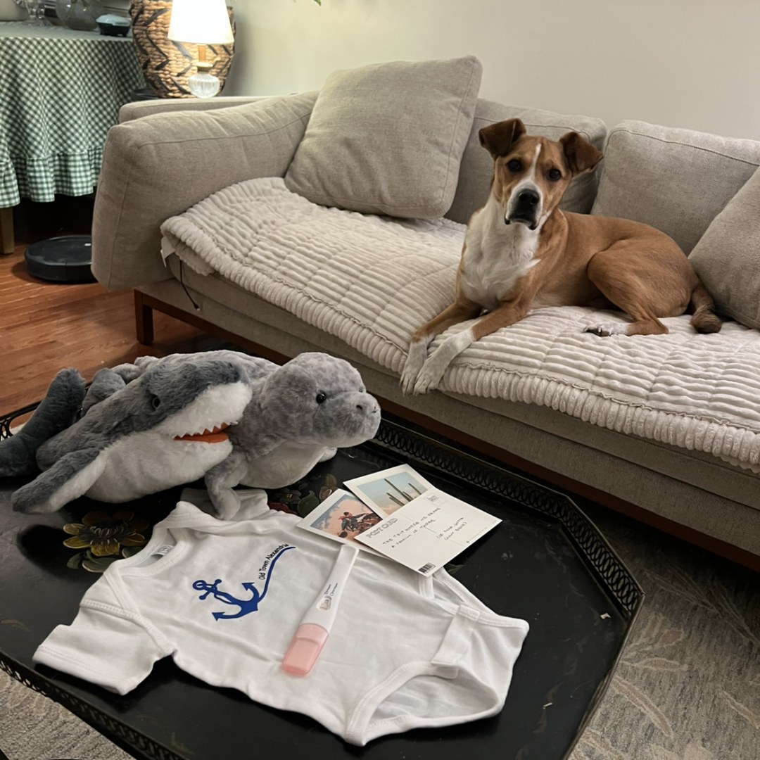 Photo shared by Leslie for their Babylist baby registry.
