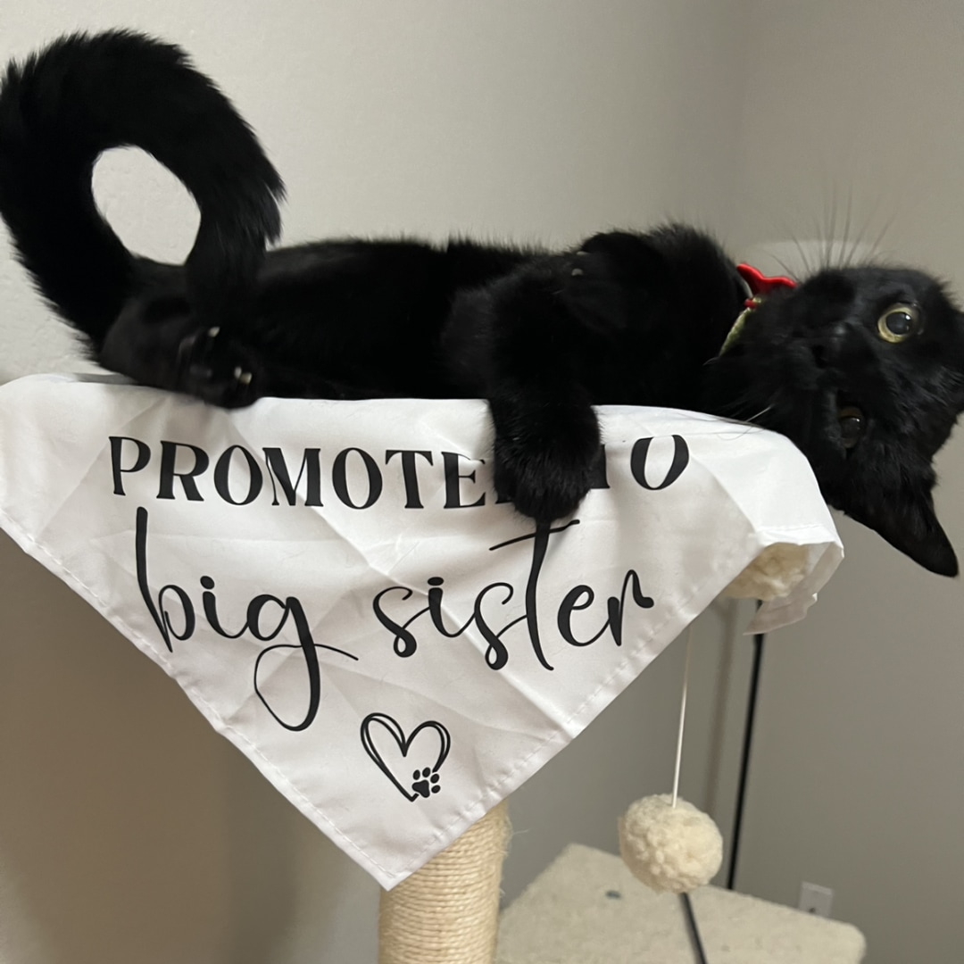 Photo shared by Tara for their Babylist baby registry.