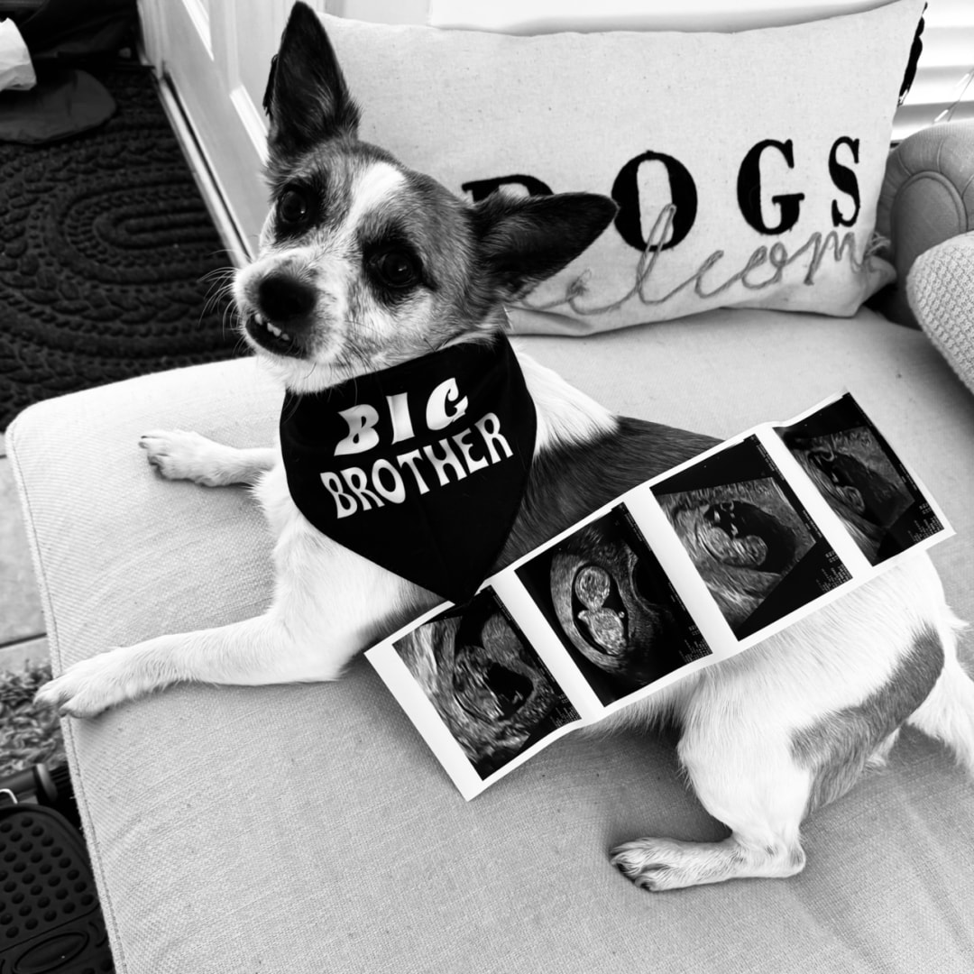 Photo shared by Averi for their Babylist baby registry.