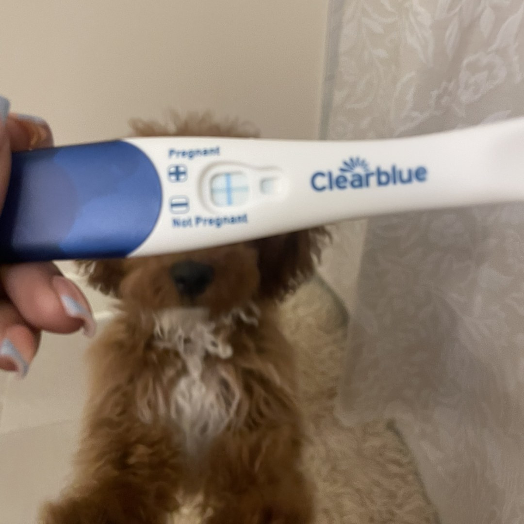 Photo shared by Zenobia for their Babylist baby registry.