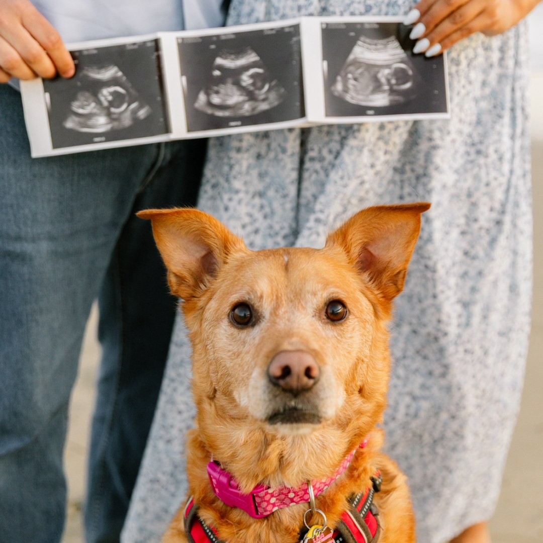 Photo shared by Marlyn for their Babylist baby registry.