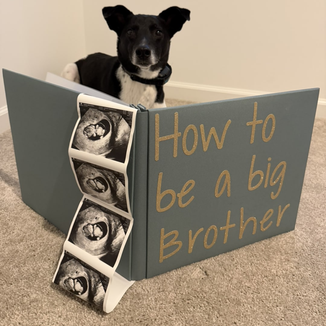 Photo shared by Annie for their Babylist baby registry.