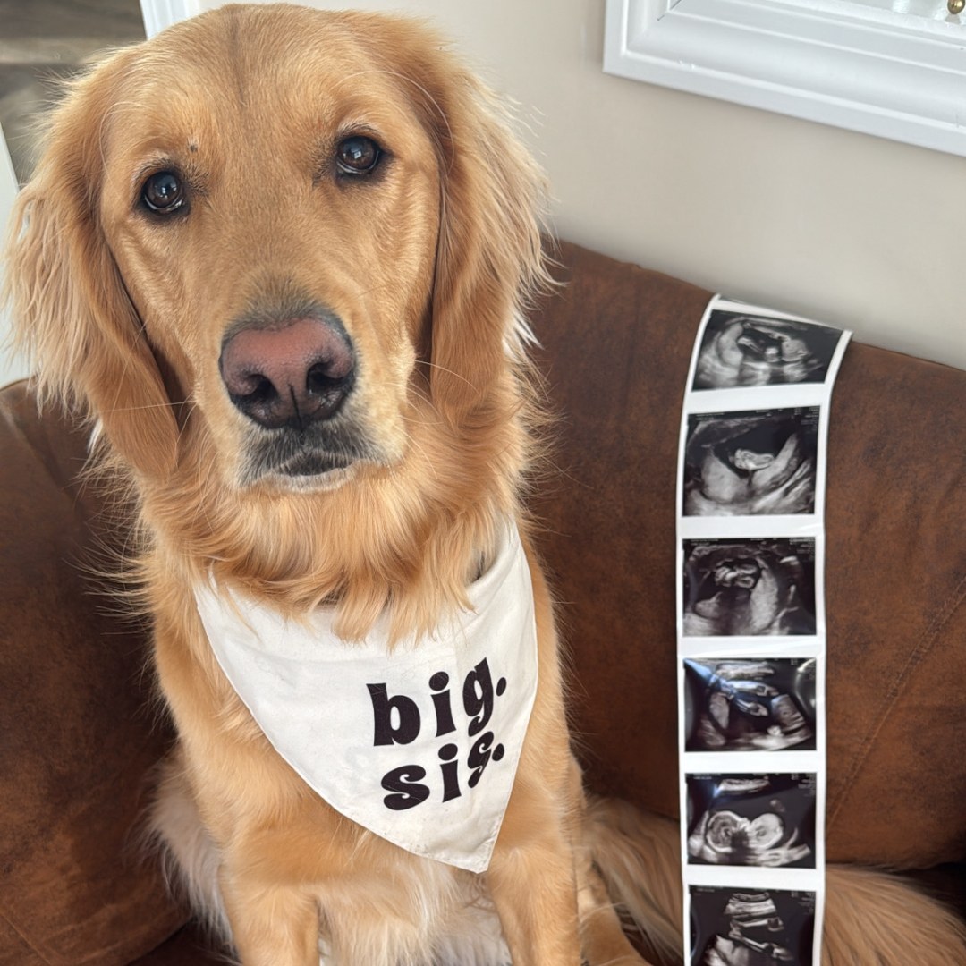 Photo shared by Rachel for their Babylist baby registry.