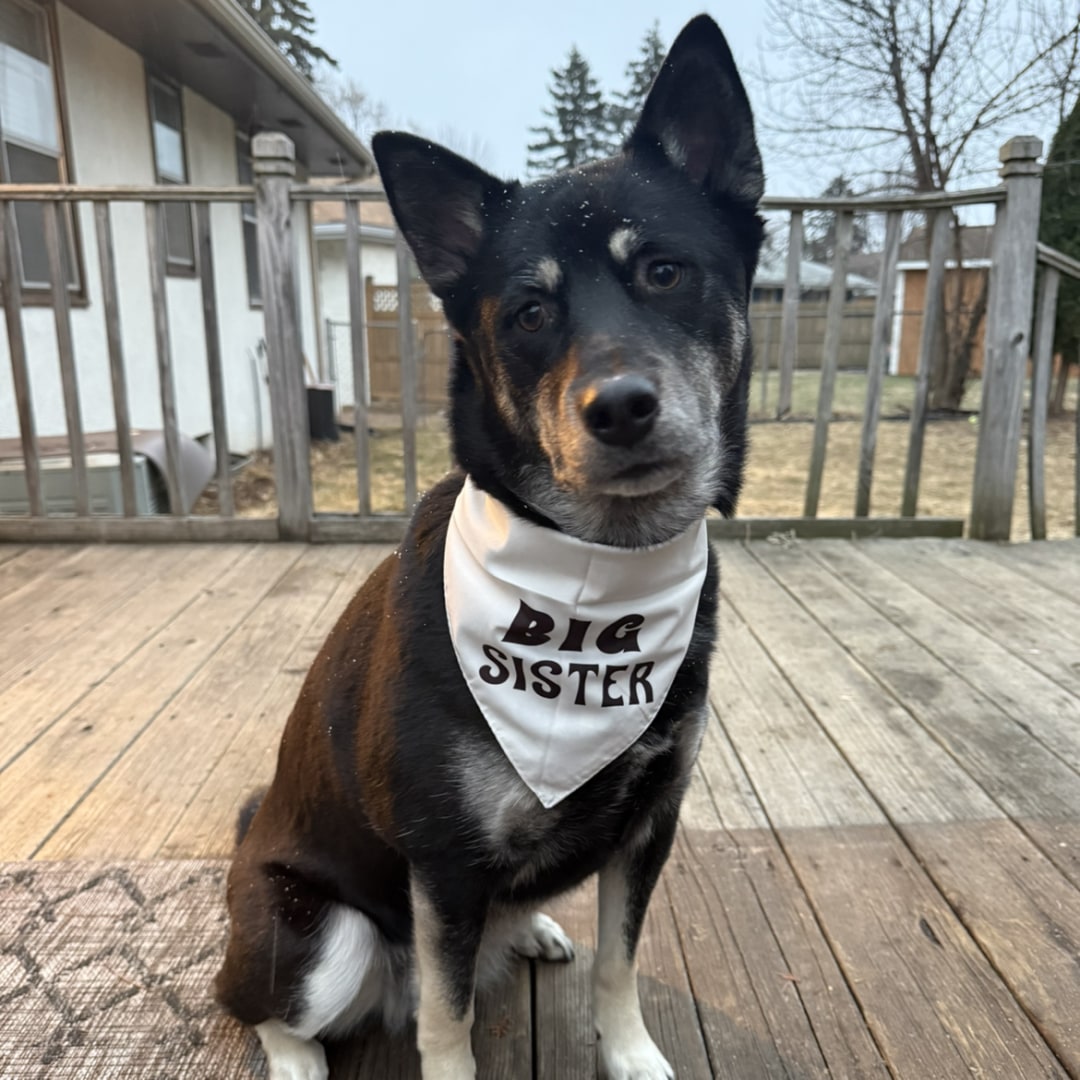 Photo shared by Elizabeth for their Babylist baby registry.