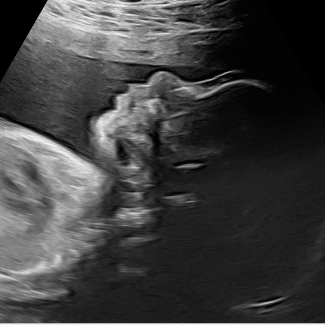 Photo shared by Lizmarie for their Babylist baby registry.