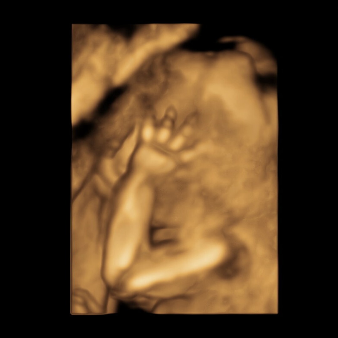 Photo shared by Genesis for their Babylist baby registry.