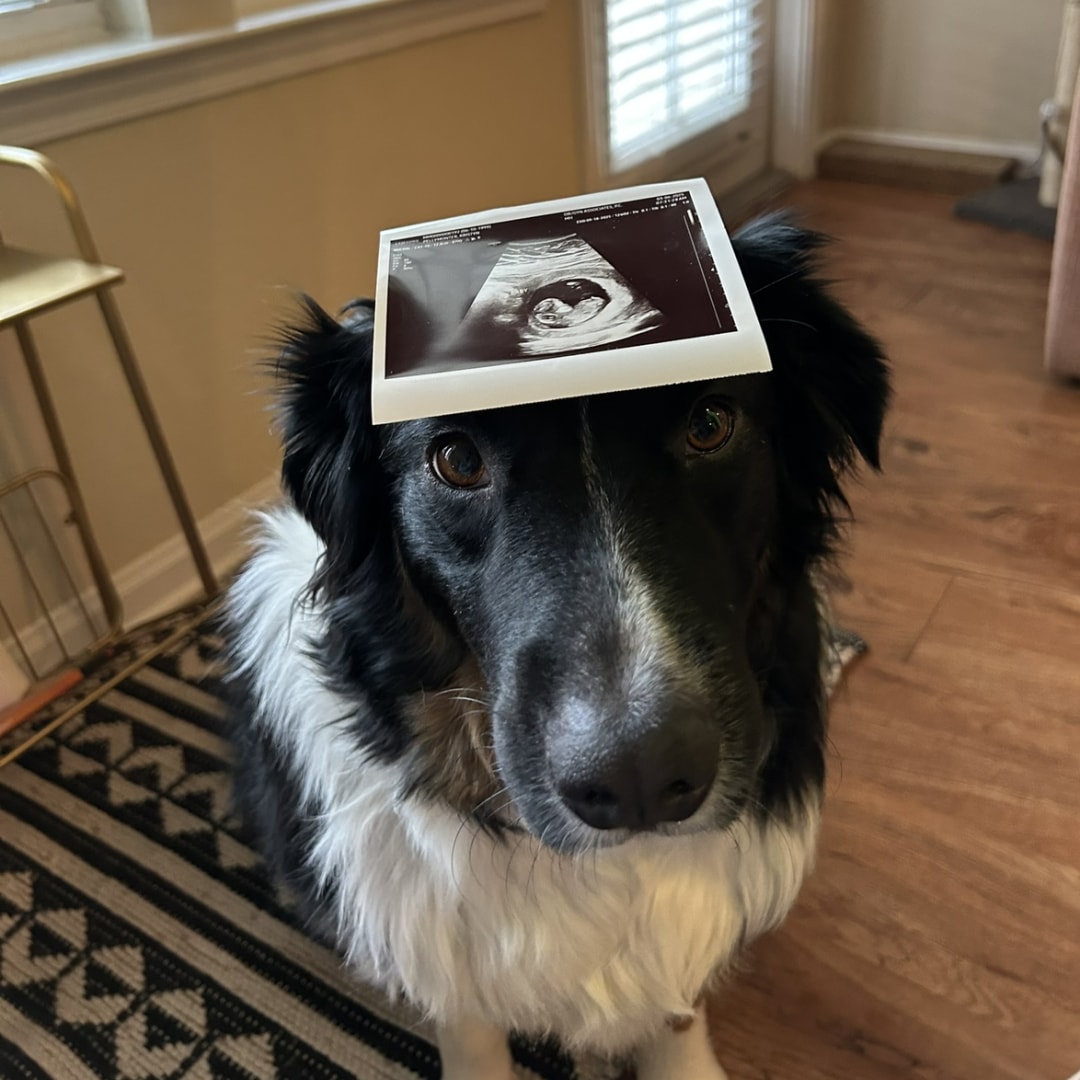 Photo shared by Kristyn for their Babylist baby registry.
