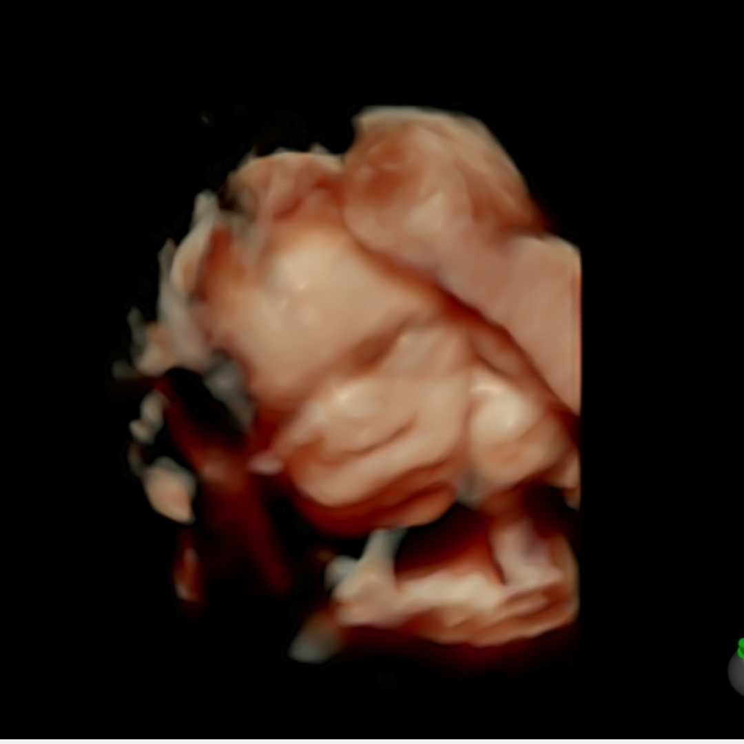 Photo shared by Cylah for their Babylist baby registry.